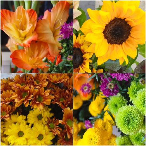 2026-09-couleurs-dAutomnex500-214335-COLLAGE.jpg