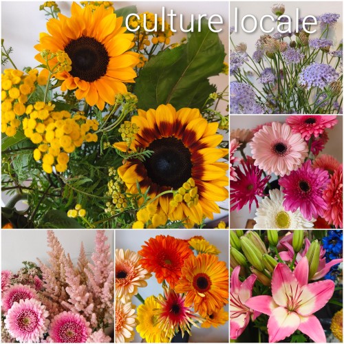 2026-08-Fleurs-CultureLocalex500-COLLAGE~2.jpg
